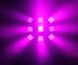 25 * 10W RGBW Cree LED Sahne Aydınlatması Artnet Kontrollü Taşınabilir Kafa Yıkama Tiyatrosu için Tedarikçi